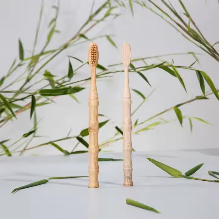 Does Bamboo Toothbrush is more expensive than the plastic one