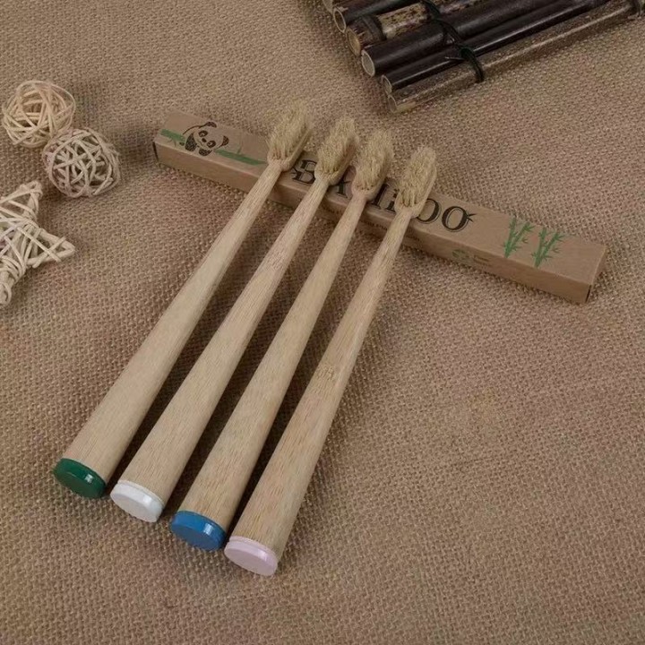Is Bamboo Toothbrush eco-friendly?